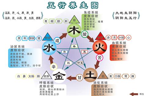 金融行业五行属什么|金融属于五行中的什么行业